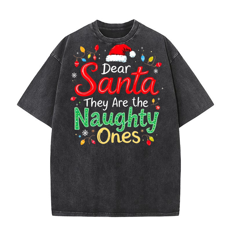 Dear santa they are the naughty ones Washed T-Shirt