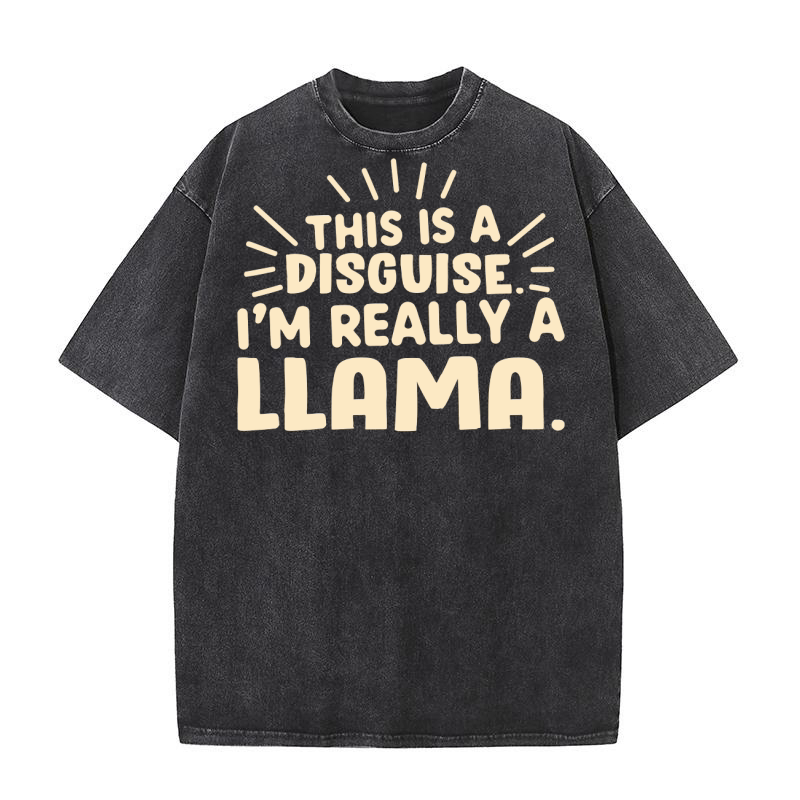 This is a disguise im really a llama Washed T-Shirt