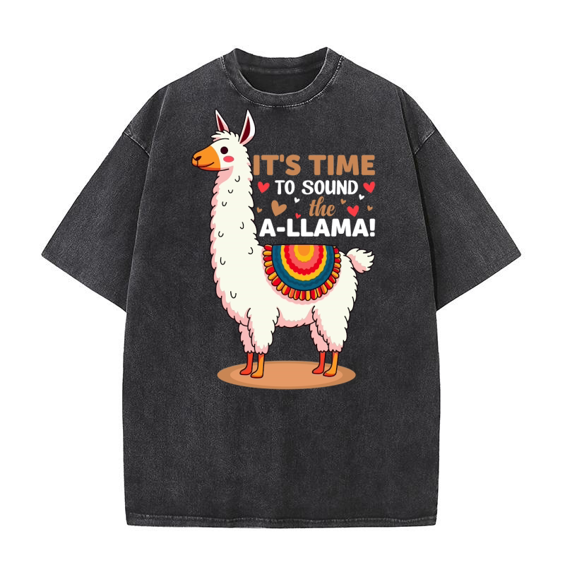 LLama (2) Washed T-Shirt
