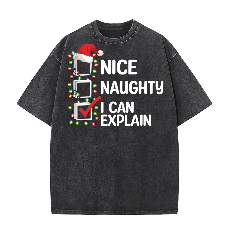 nice naughty i can explain Washed T-Shirt