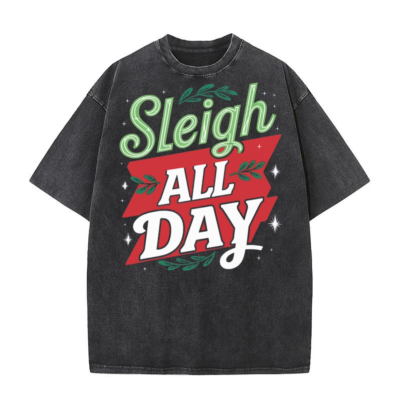 Sleigh all day Washed T-Shirt
