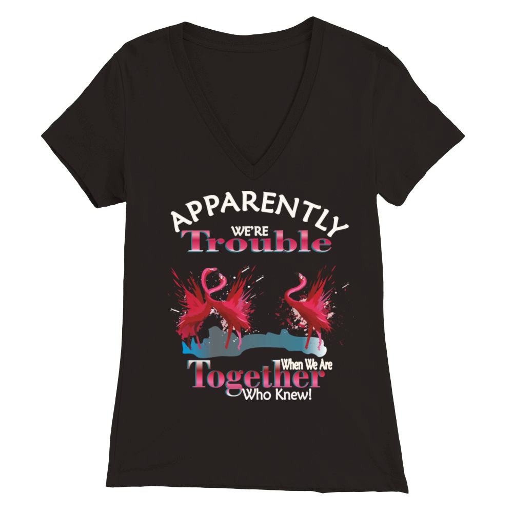 Flamingo Apparently Trouble When We Are Together Premium Womens V-Neck T-shirt