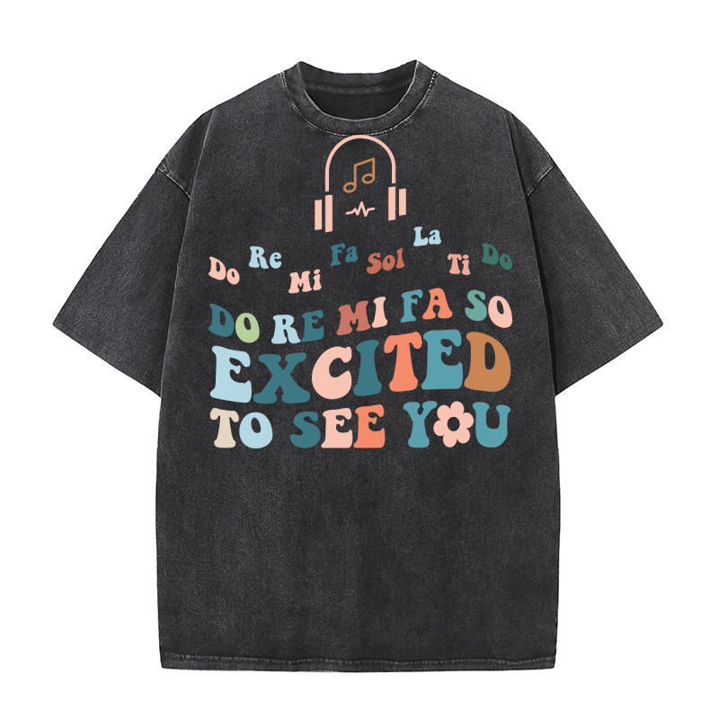 do re mi fa sol la ti do, do re mi fa so excited to see you Washed T-Shirt