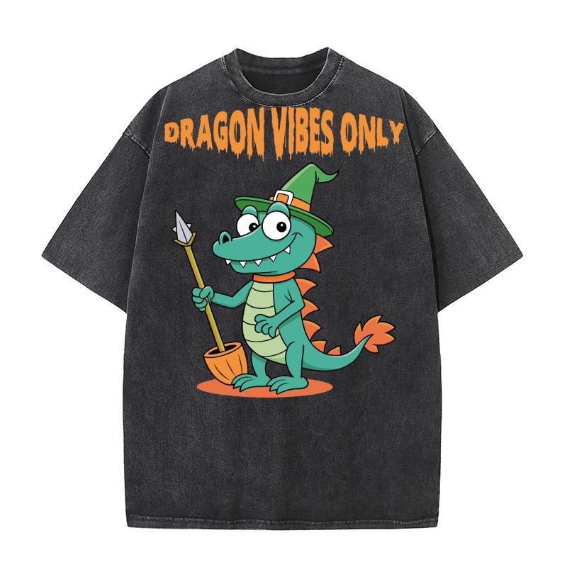 Dragon vibes only Washed T-Shirt