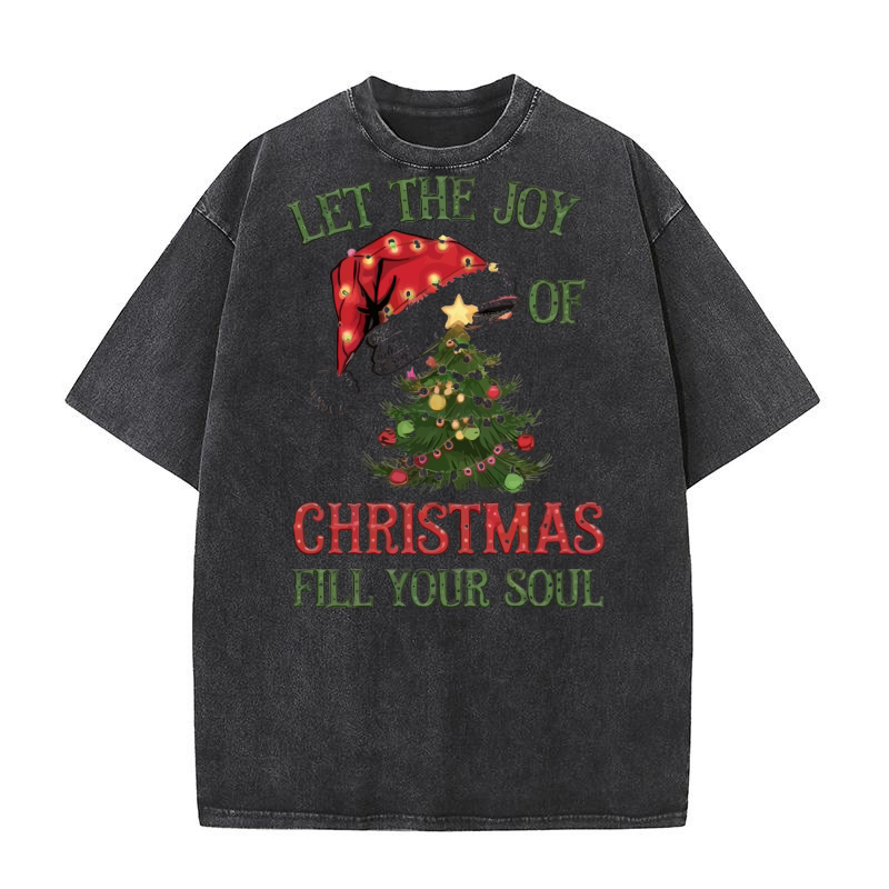 Let the joy of Christmas fill your soul Washed T-Shirt