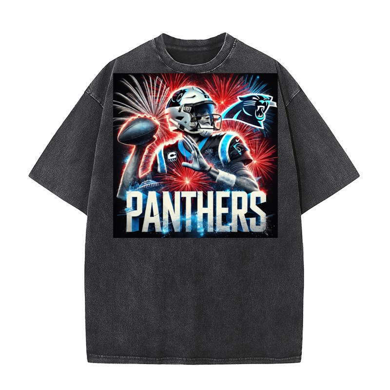 Panthers 02 Washed T-Shirt