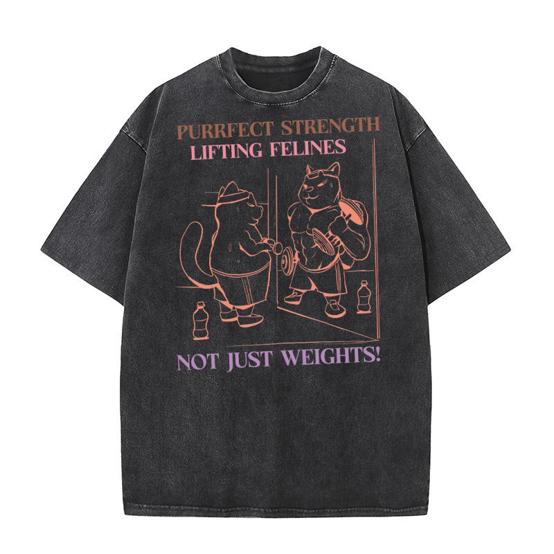 Purrfect strength lifting felines not just weights! Washed T-Shirt