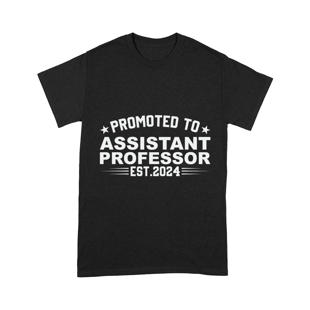 Promoted to assistant professor est.2024 Comfort T-shirt