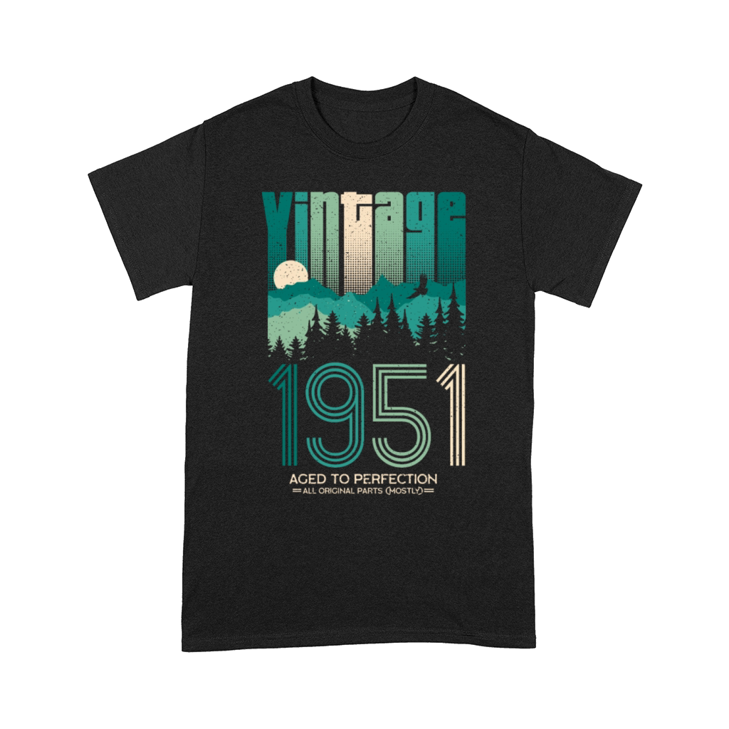 Vintage 1951 Birthday Born in 51 Retro Comfort T-shirt