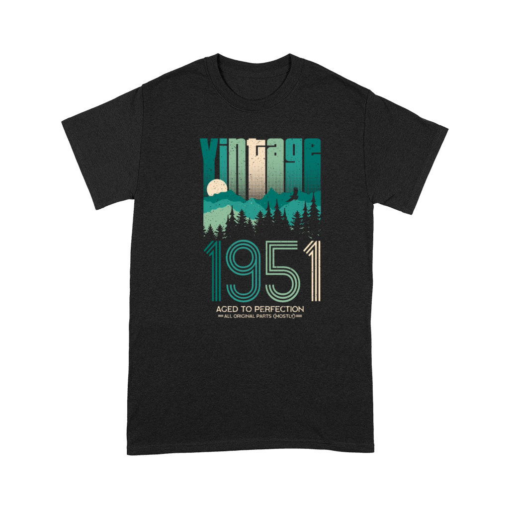 Vintage 1951 Birthday Born in 51 Retro Premium T-shirt