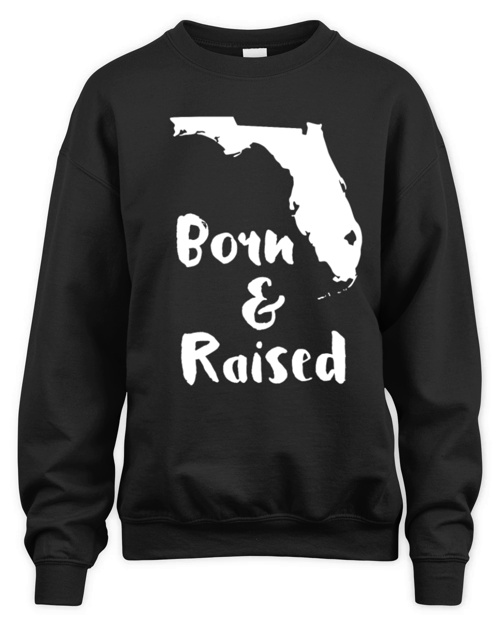 Florida Born and Raised State T-shirt Unisex Premium Crewneck Sweatshirt