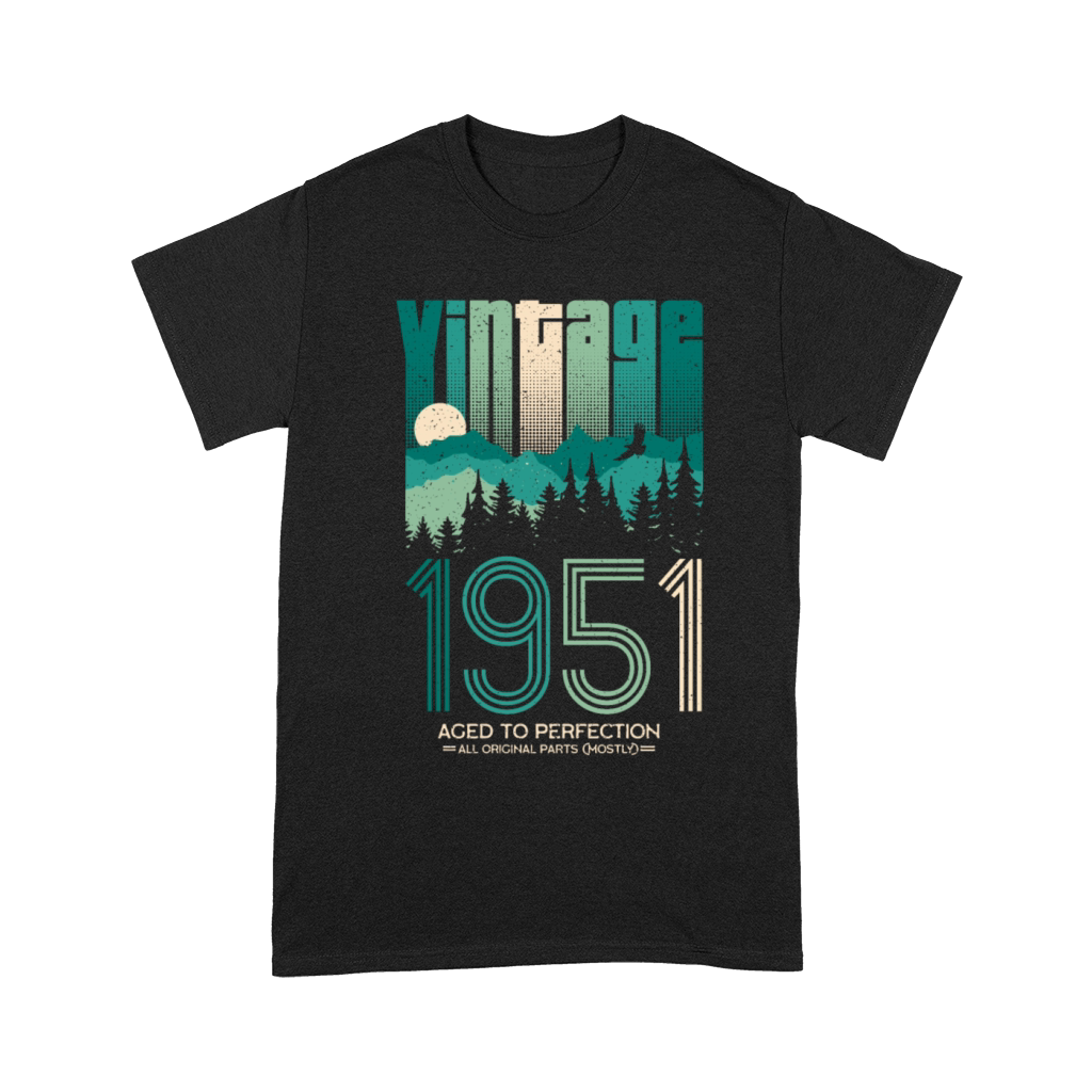 Vintage 1951 Birthday Born in 51 Retro Unisex T-Shirt