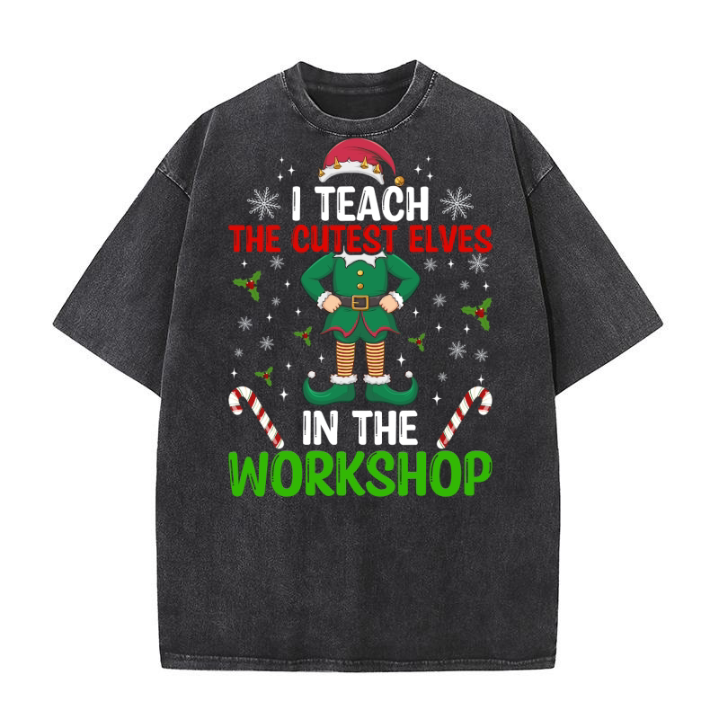 I teach the cutest elves in the workshop Washed T-Shirt