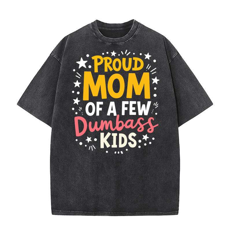 Proud mom of a few dumbass kids 02 Washed T-Shirt