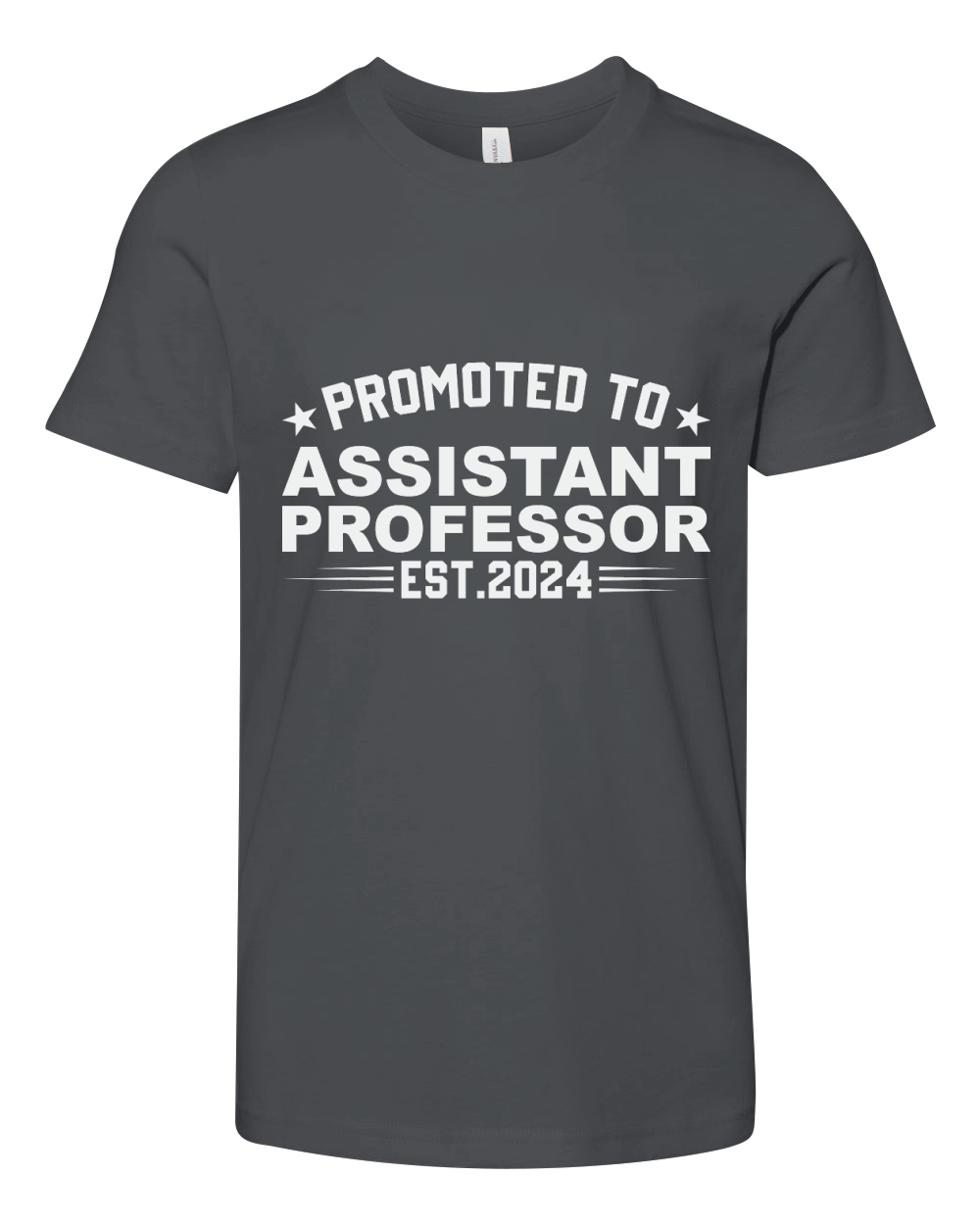Promoted to assistant professor est.2024 Youth Unisex Jersey Tee