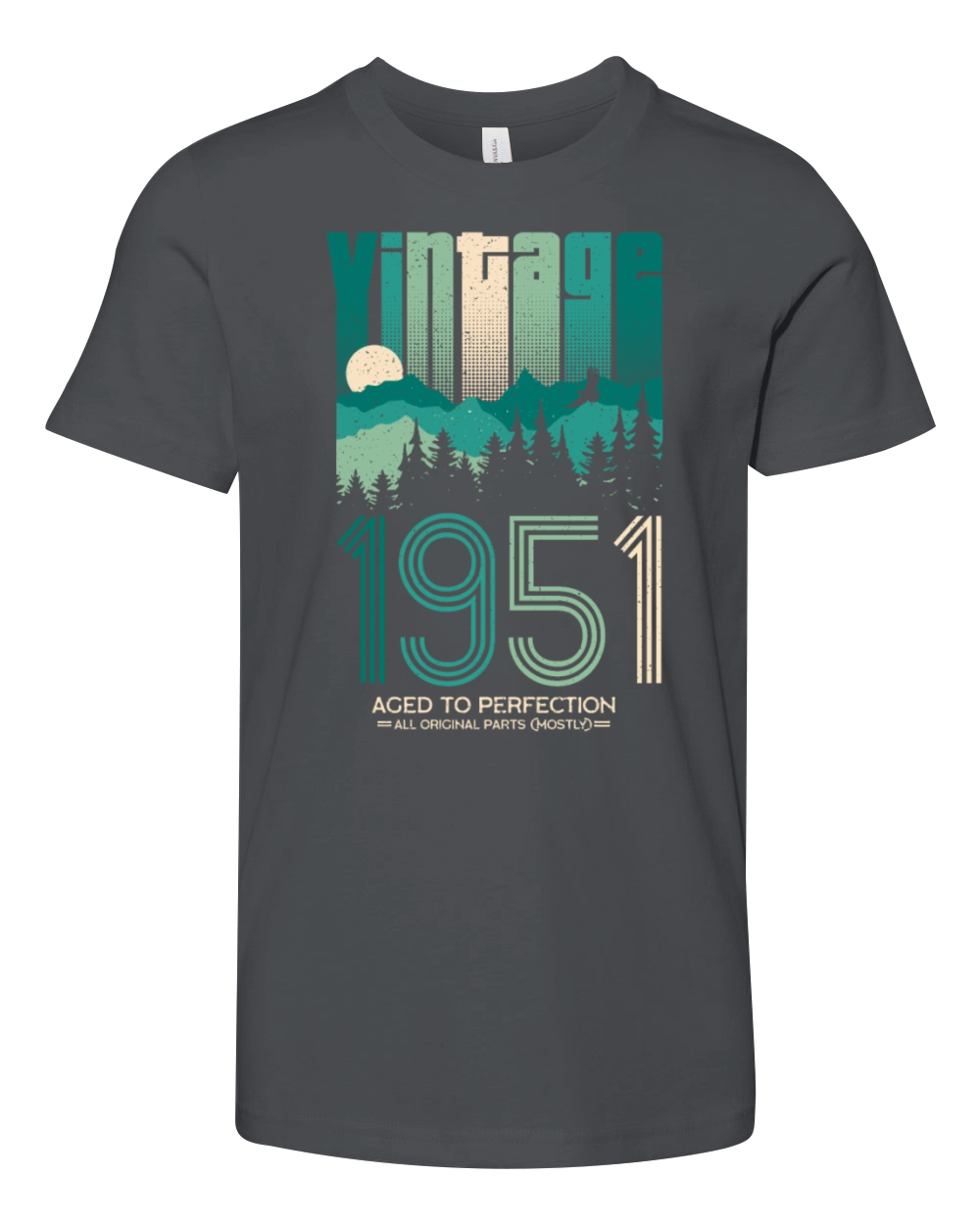 Vintage 1951 Birthday Born in 51 Retro Youth Unisex Jersey Tee