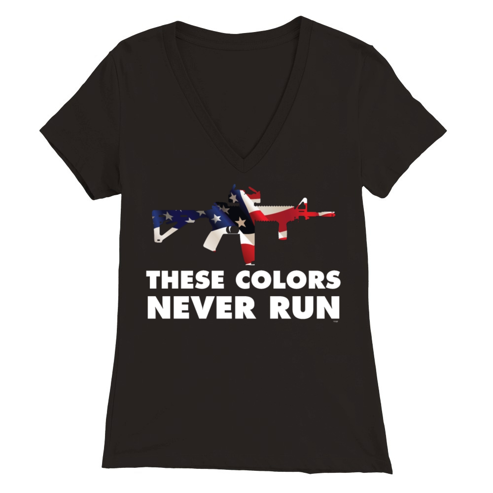 USA PATRIOT Premium Womens V-Neck T-shirt