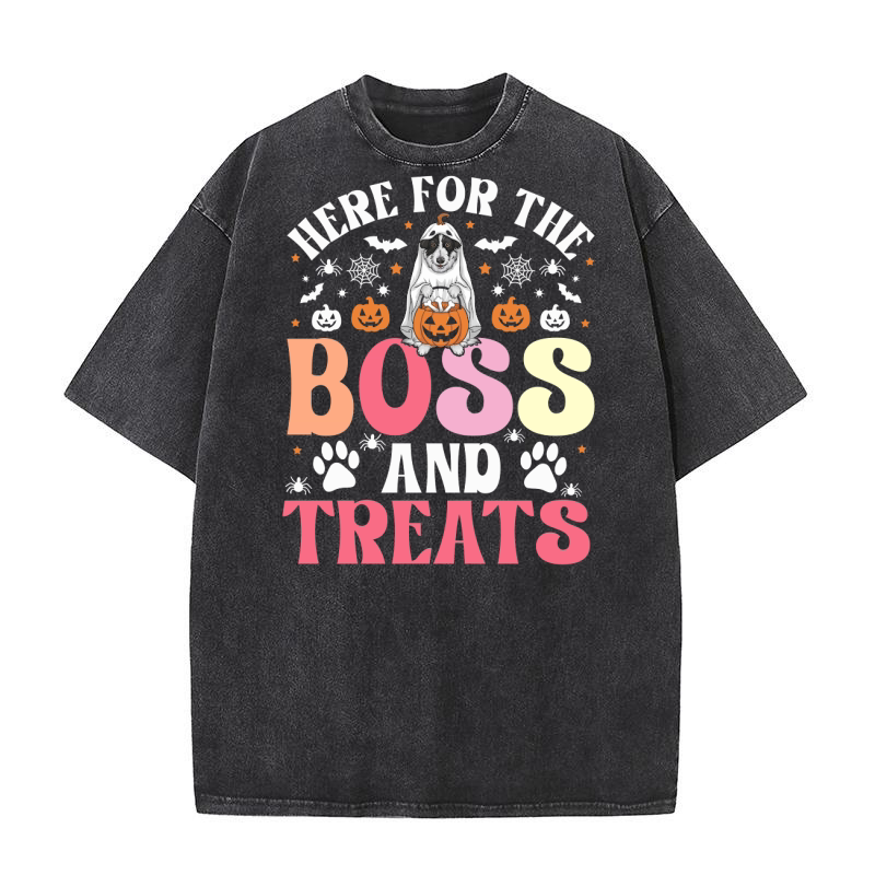 Here For The Boss And Treats Washed T-Shirt