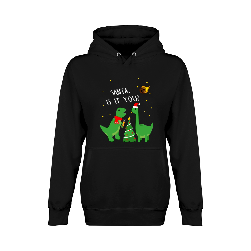 Dinosaur Celebrate Christmas Santa Unisex Premium Pullover Hoodie