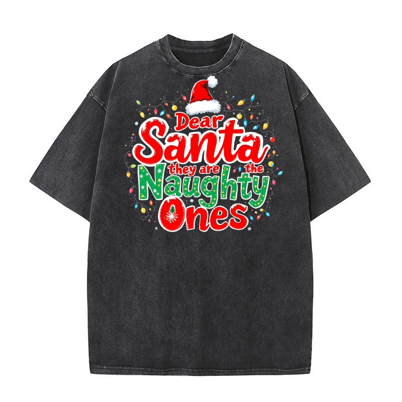 Dear Santa they are the naughty ones 2 Washed T-Shirt