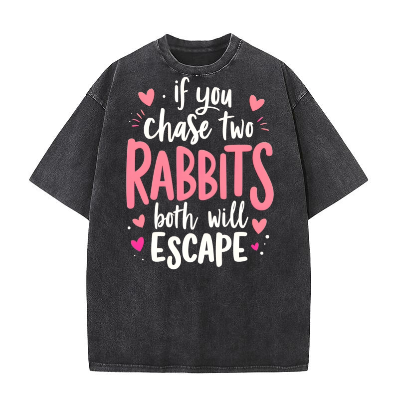 If You chase Two Rabbits Both Will Escape Washed T-Shirt