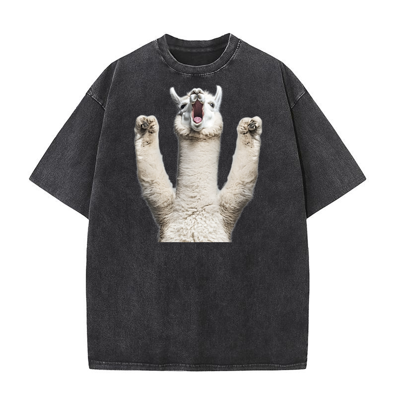 Three Alpaca Moon Weird Cursed 02 Washed T-Shirt