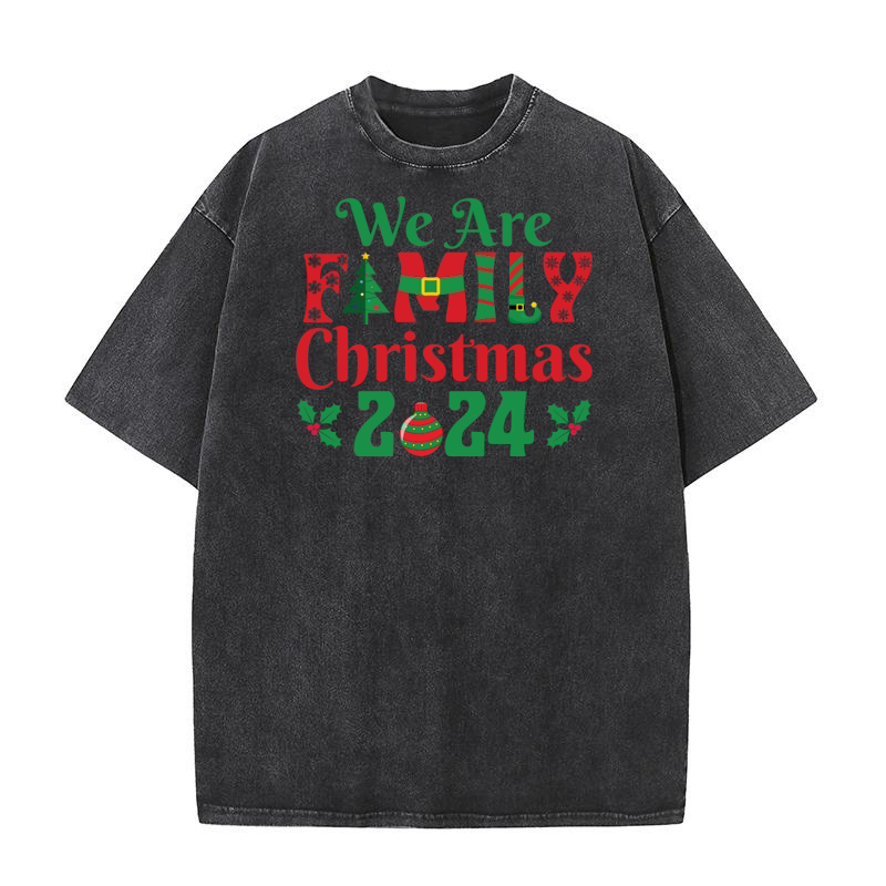 We are family christmas 2024 Washed T-Shirt
