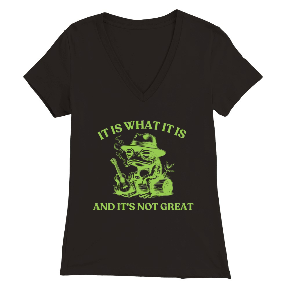 It is what it is and its not great Graphics 12 Premium Womens V-Neck T-shirt
