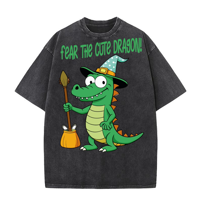 Fear the cute dragon! Washed T-Shirt