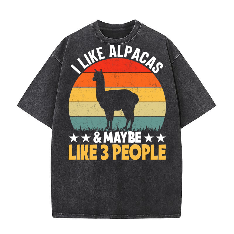 LLama 4 03 Washed T-Shirt