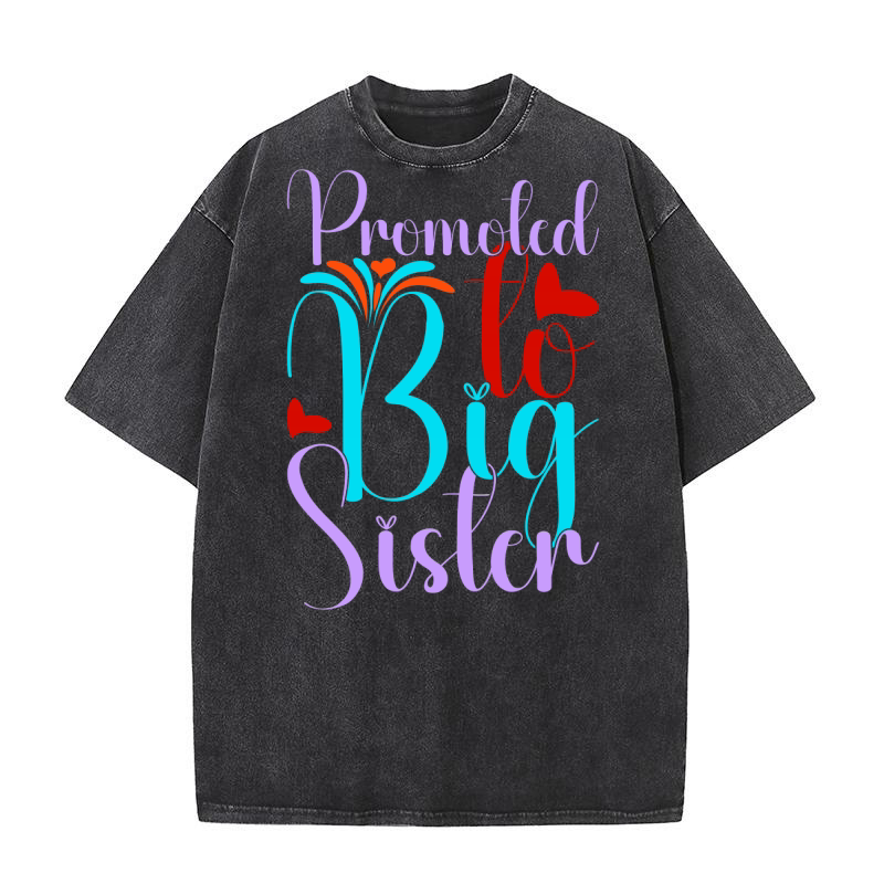 Promoted To Big Sister Washed T-Shirt