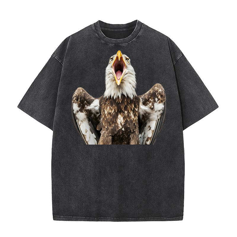 Three Eagle 02 Washed T-Shirt