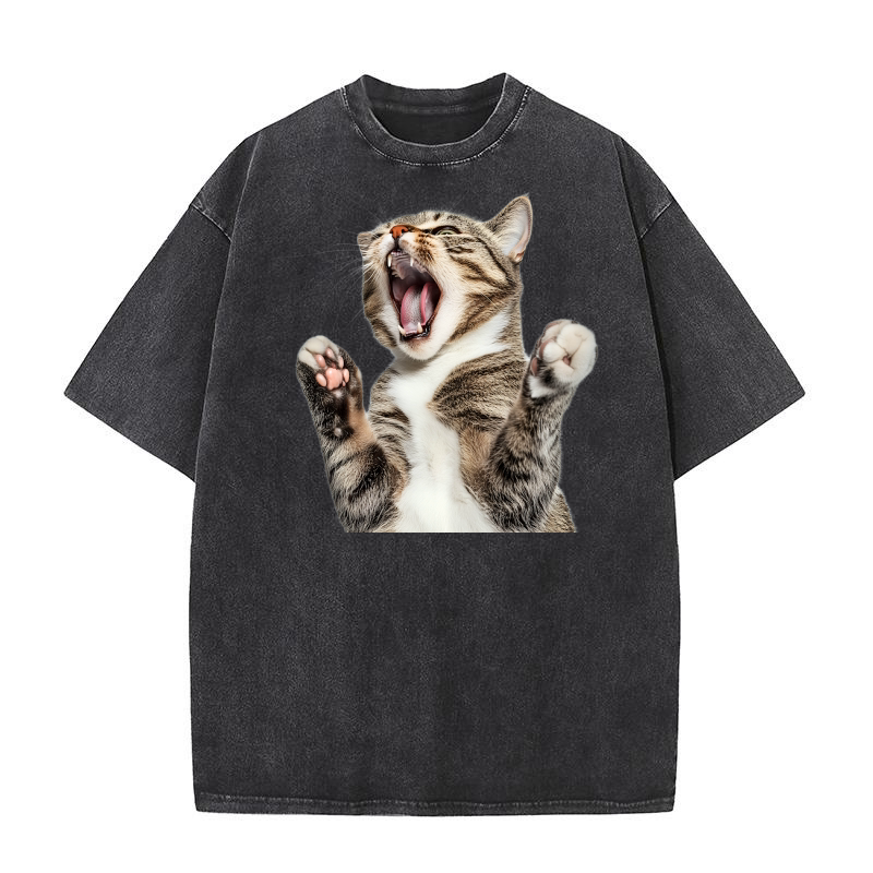 Three Tabby Cat 03 Washed T-Shirt