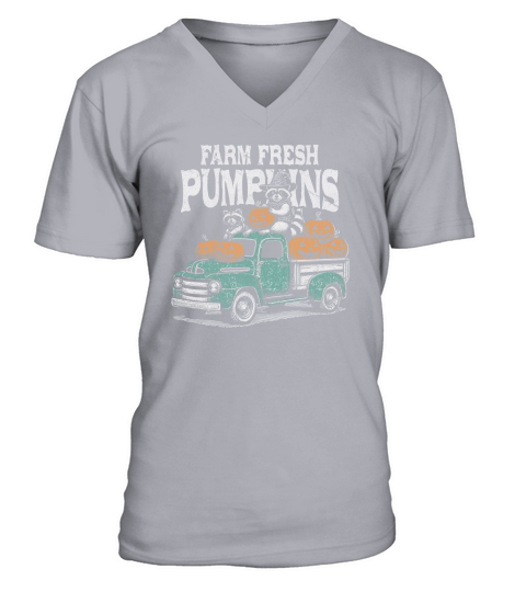 Farm fresh pumpkins Raccoon D Color GR V-Neck T-shirt