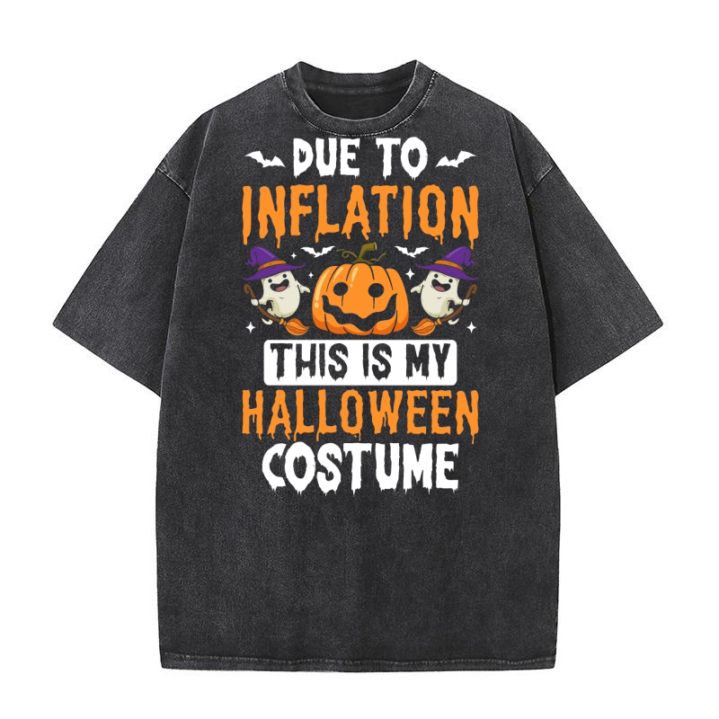 311. due to inflation this is my halloween costume Washed T-Shirt