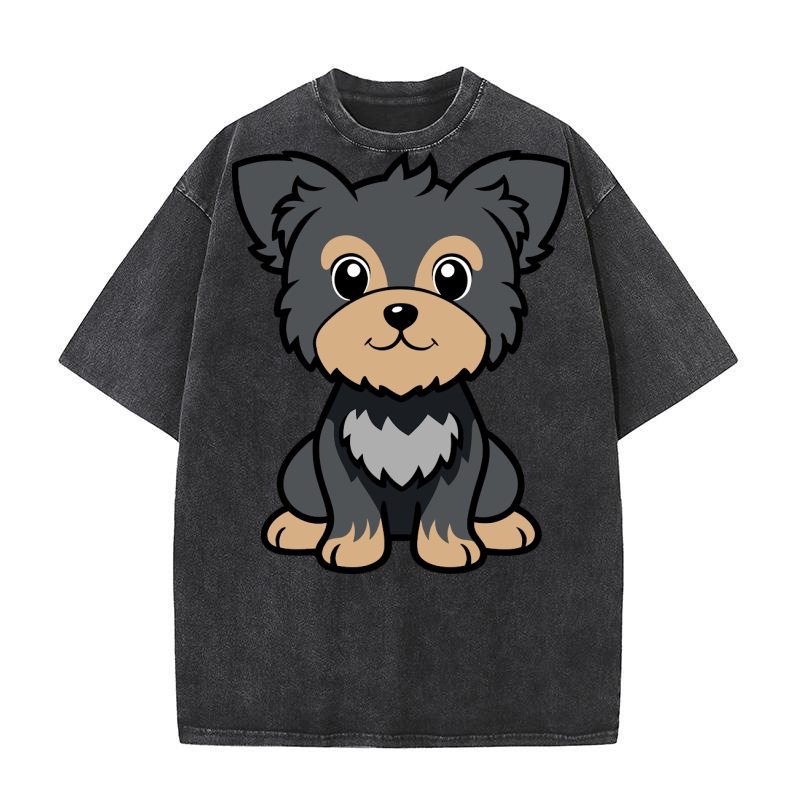 Affenpinscher 02 Washed T-Shirt