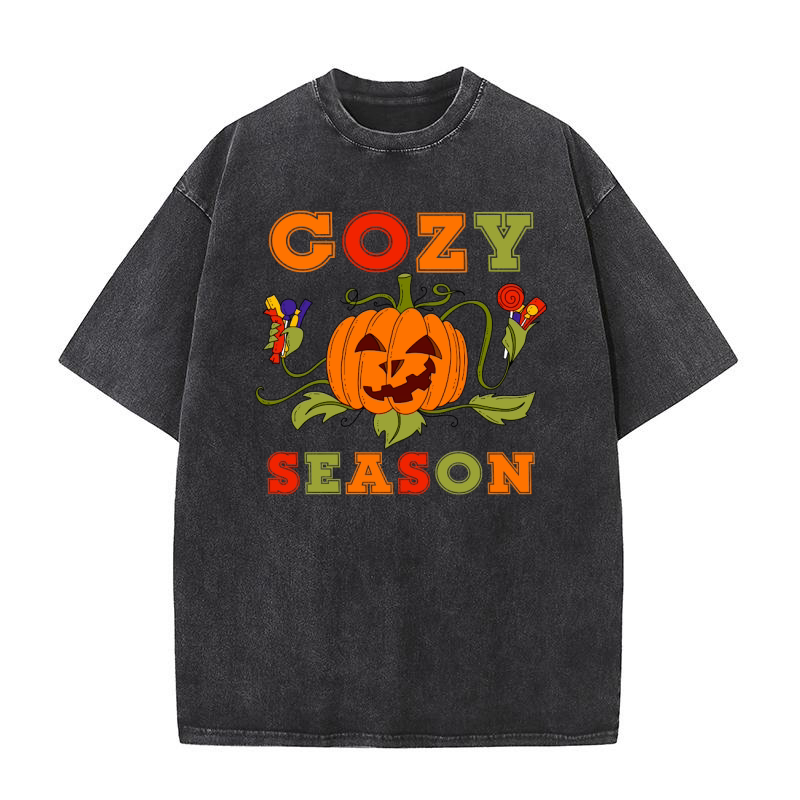 Cozy season 1.01 Washed T-Shirt