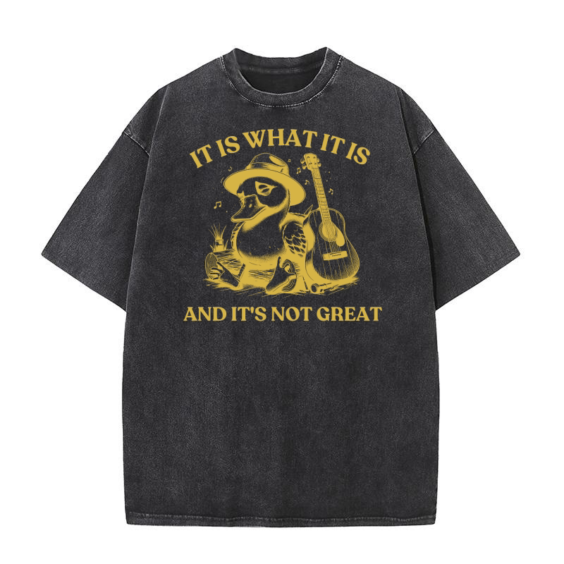It is What It is And Its Not great 23 Washed T-Shirt