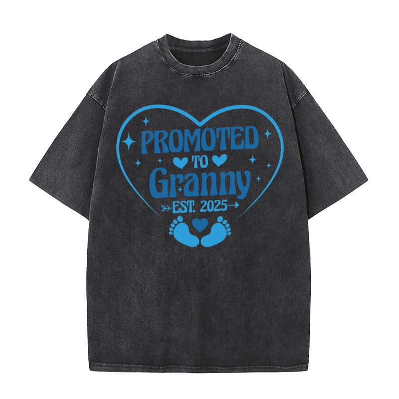 Promoted To Granny EST. 2025 Washed T-Shirt