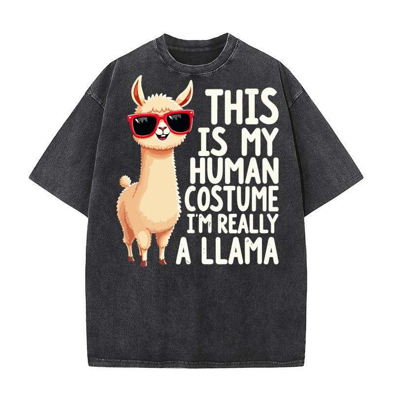 This is my human costume im really a llama Washed T-Shirt