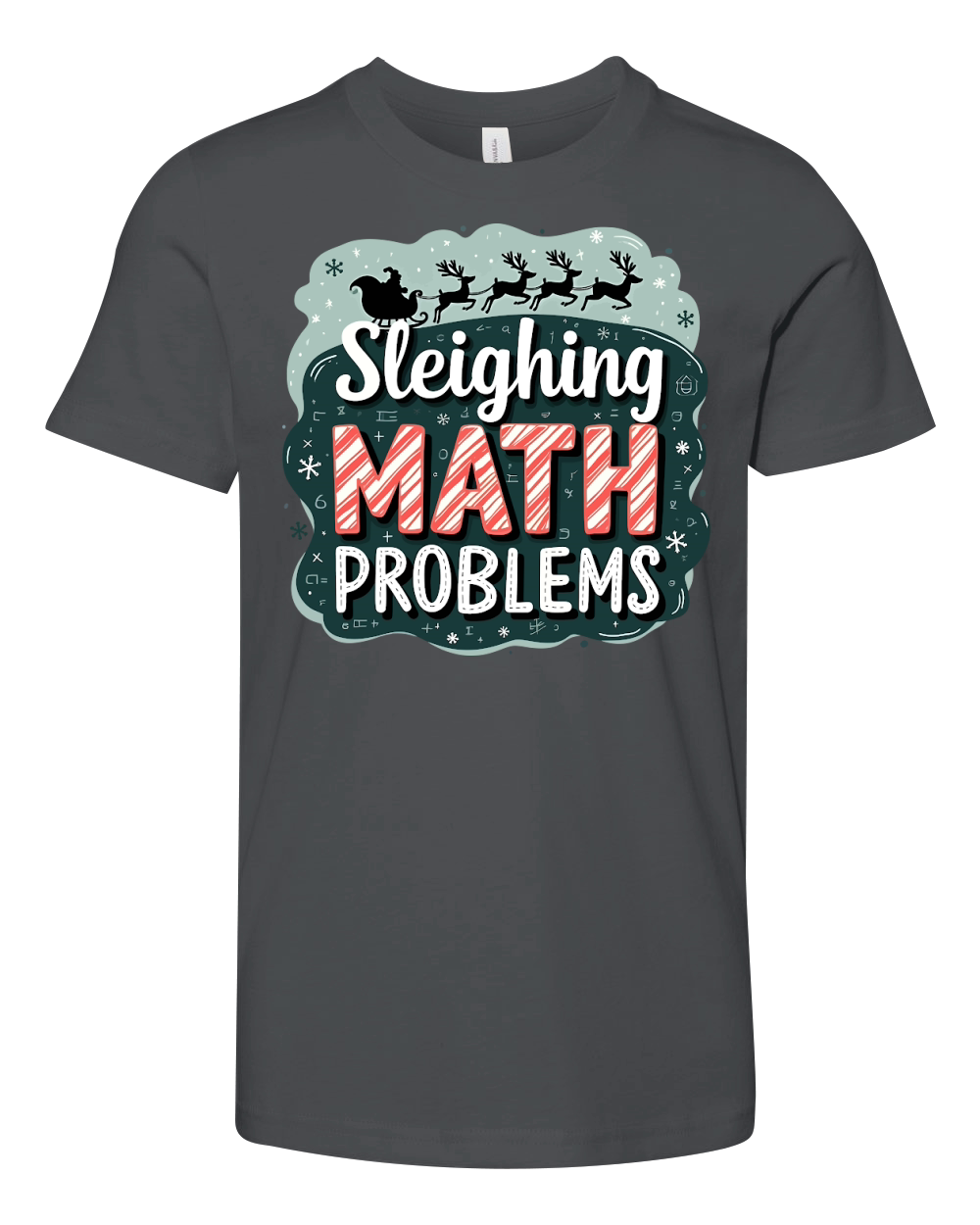 Sleighing math problems Youth Unisex Jersey Tee