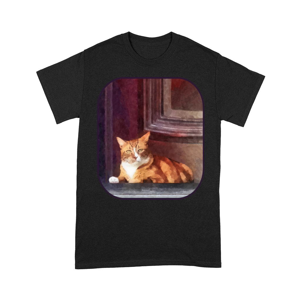 Cats - Orange Tabby in Doorway Comfort T-shirt