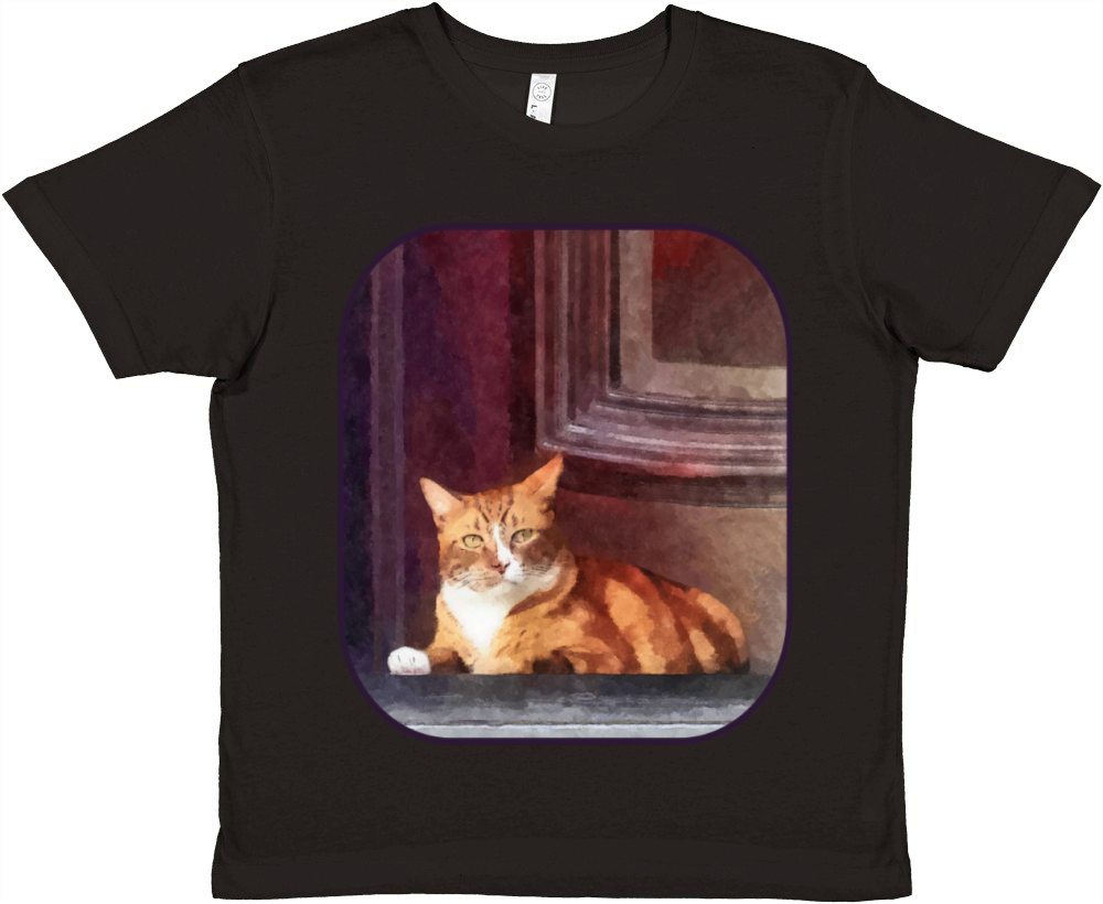 Cats - Orange Tabby in Doorway Premium Kids Crewneck T-shirt