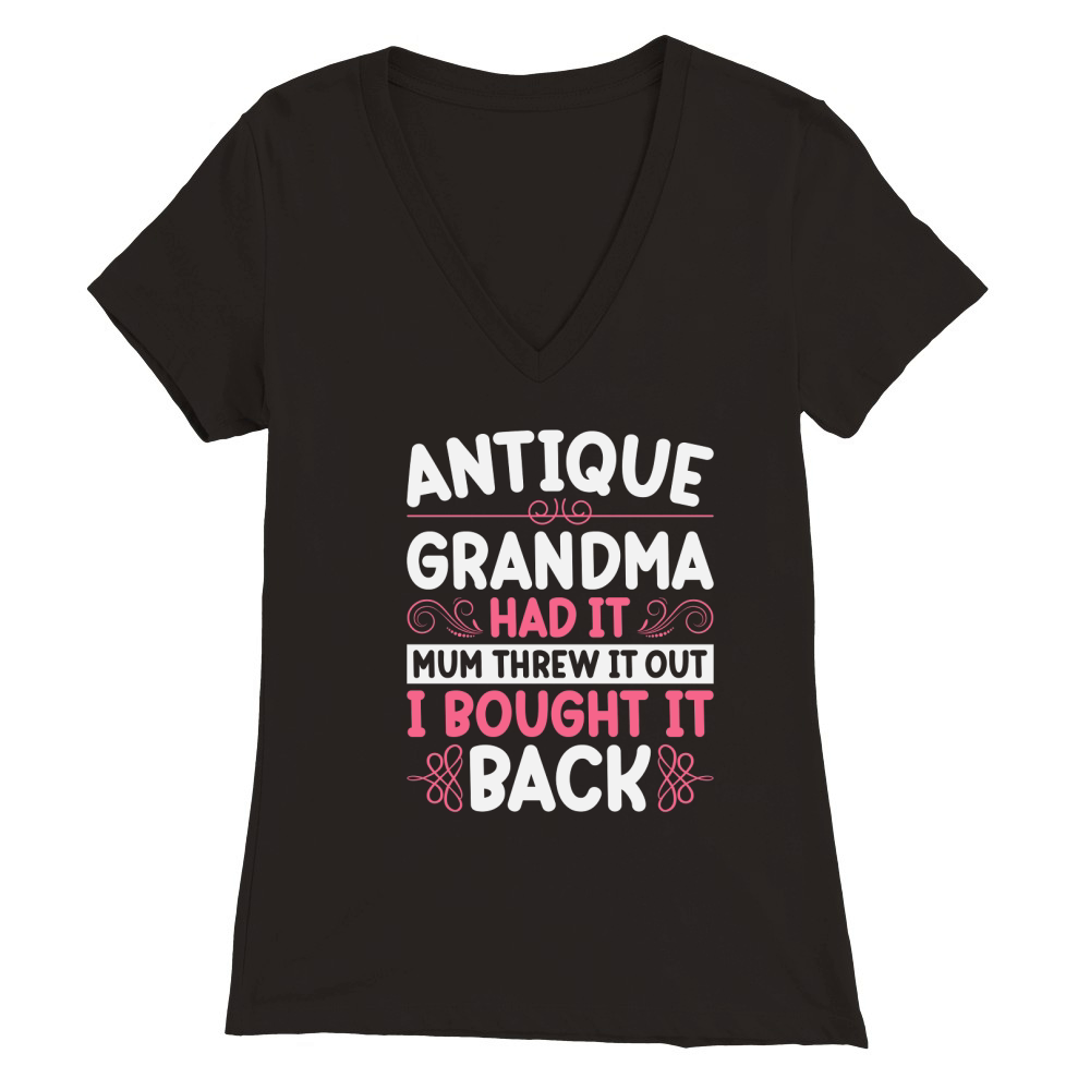 Antique Collector Antique Store Antiquing Premium Womens V-Neck T-shirt