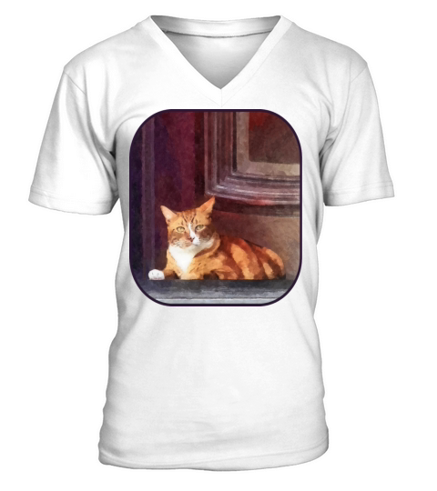 Cats - Orange Tabby in Doorway V-Neck T-shirt