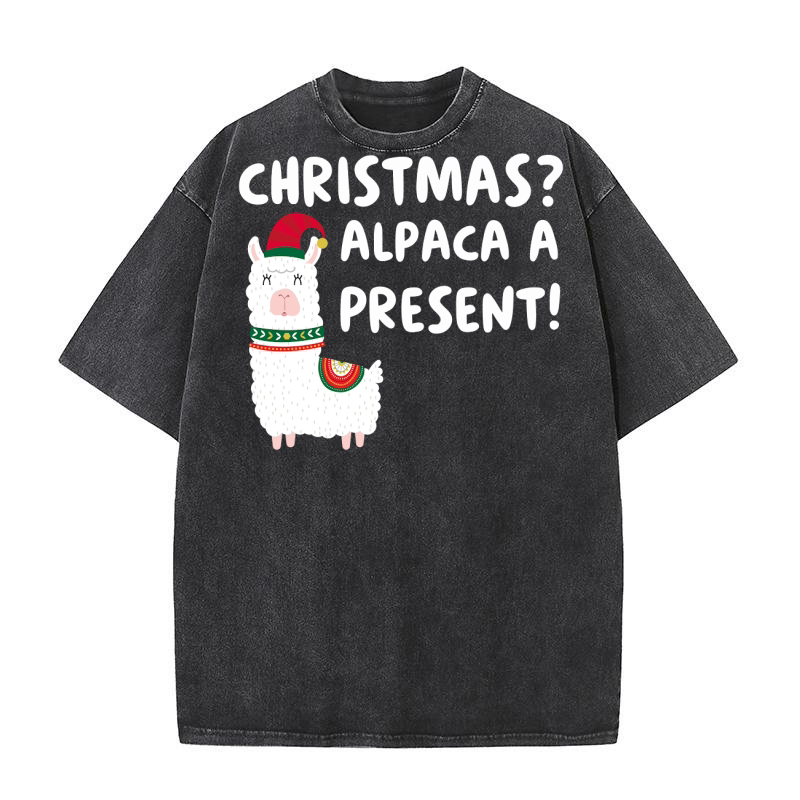 LLama 4 10 Washed T-Shirt