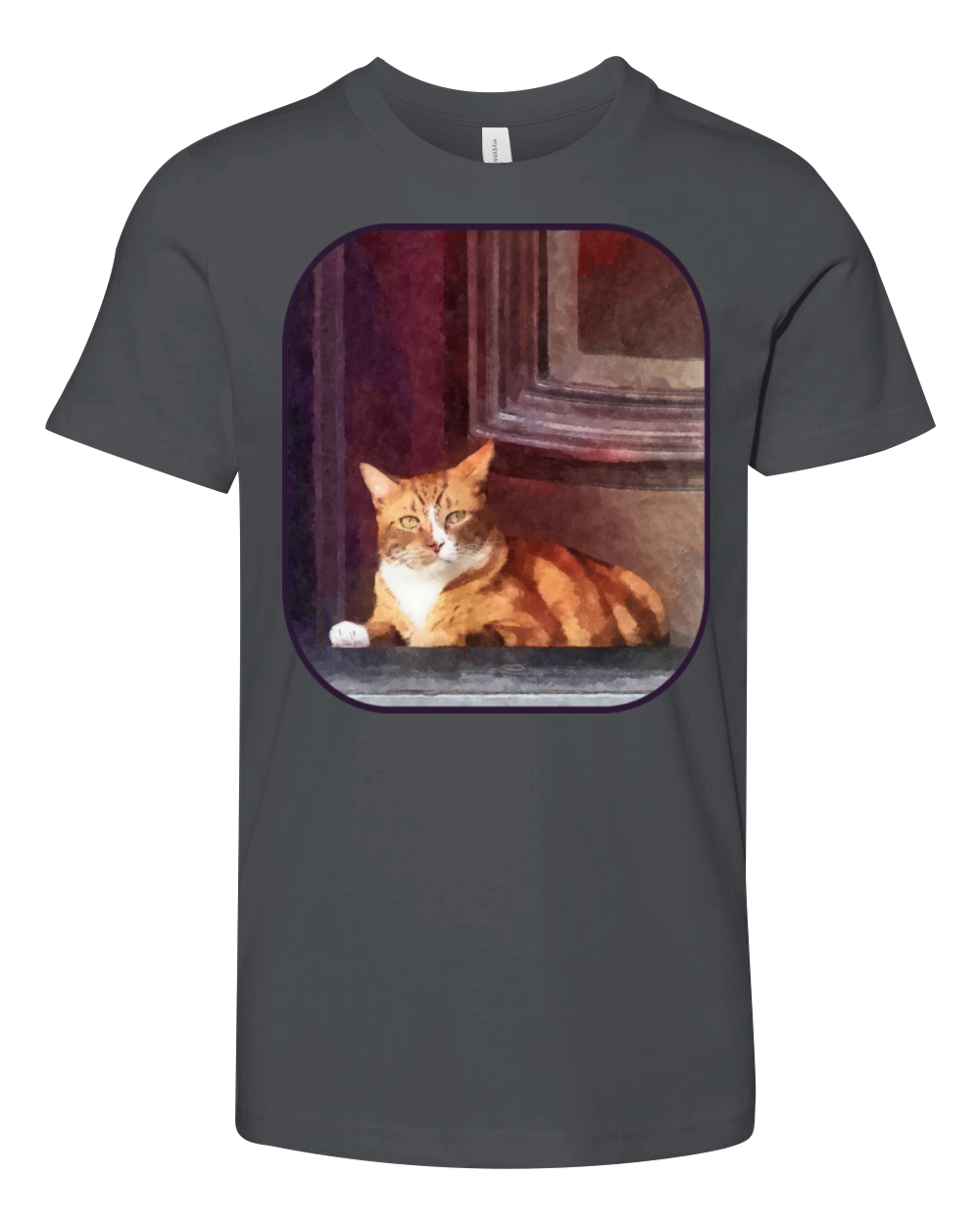 Cats - Orange Tabby in Doorway Youth Unisex Jersey Tee
