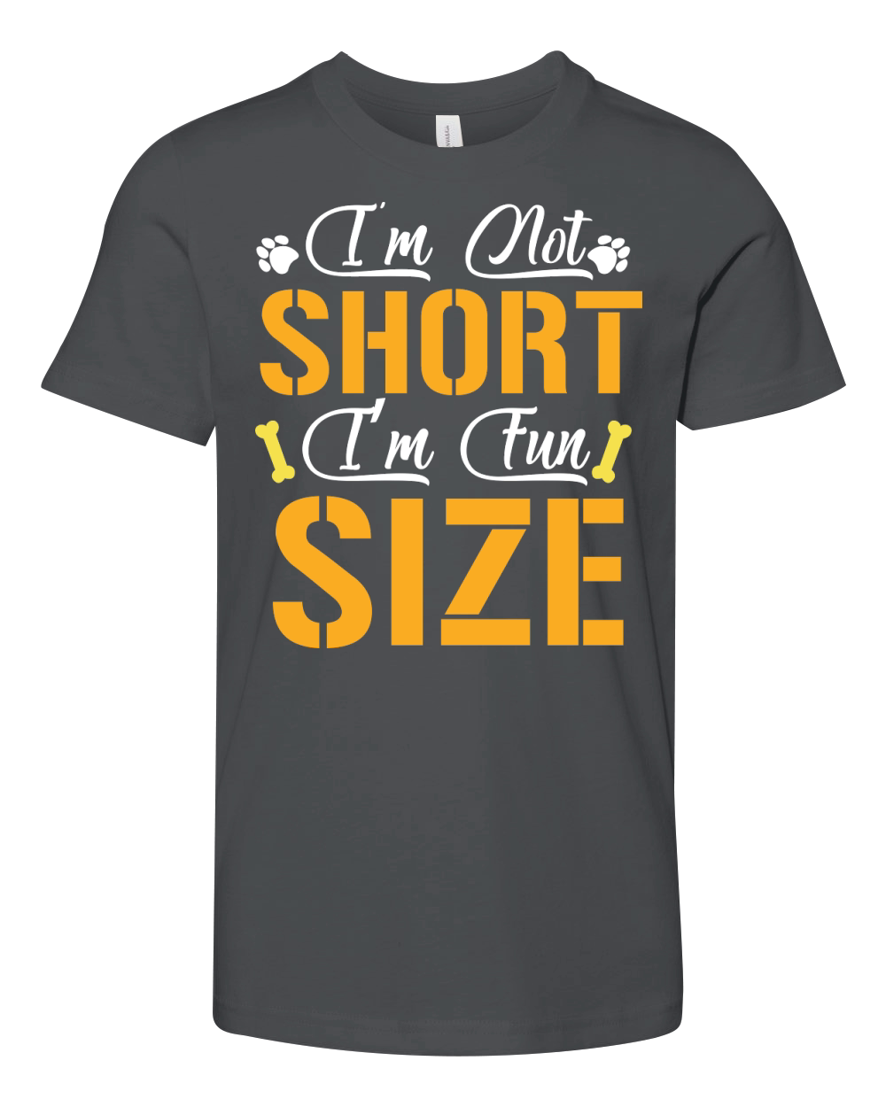 Im Not Short I’m Fun Size Youth Unisex Jersey Tee