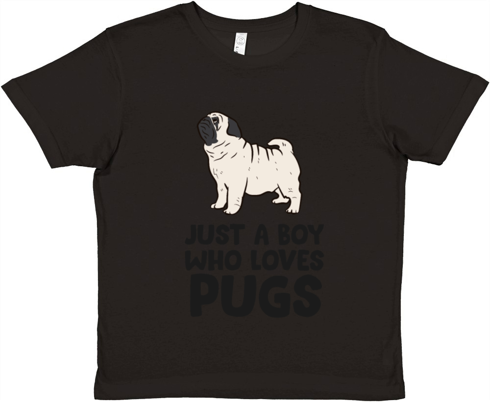 Just a Boy Who Loves Pugs Premium Kids Crewneck T-shirt