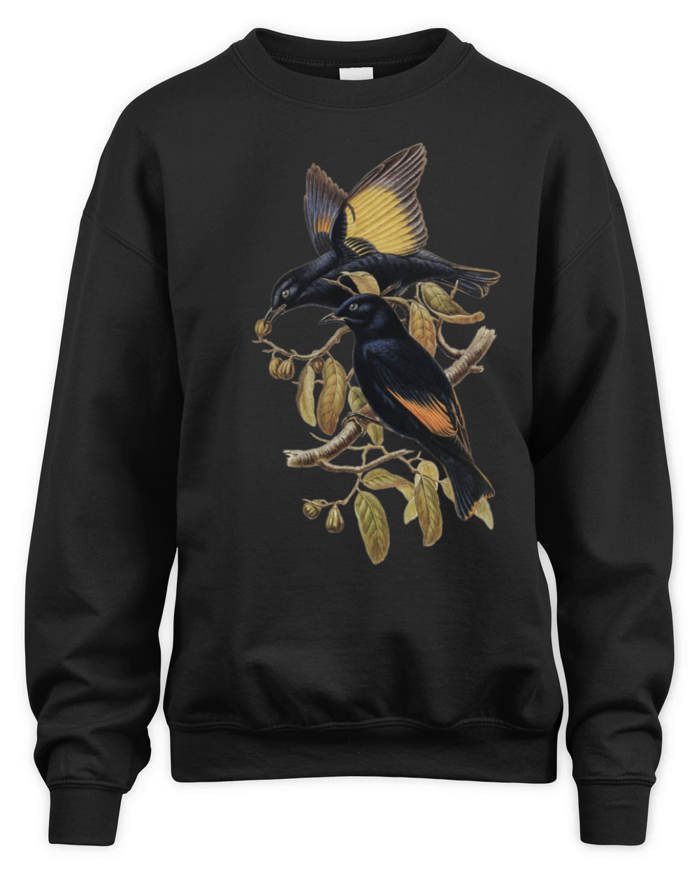 Rawnsley s Bower bird Ptilonorhynchus Rawnsleyi Unisex Premium Crewneck Sweatshirt